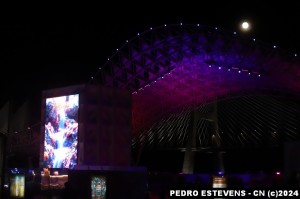 IMG_7659