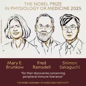 2025 Nobel Prize in Physiology or Medicine