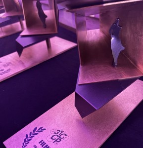 Palmarés 31edição CCP2