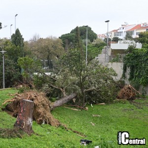 Depressao Kristin _20260128_1007