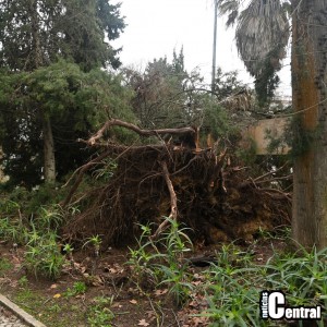 Depressao Kristin _20260128_1115