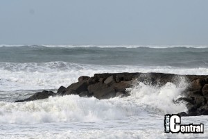 varios_20260125_4905