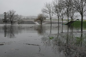  em alerta máximo coimbra