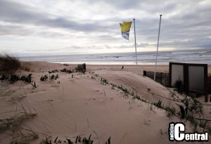 IMG_20260215_170930 (1)