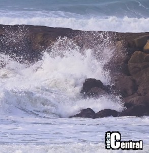 varios_20260125_4906