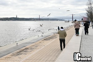 Varios _20260217_2081