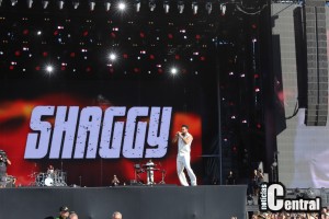 IMG_5350
