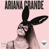Concerto de Ariana Grande, incidente provoca vários mortos e feridos.