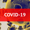 COVID-19 manteve incidência elevada
