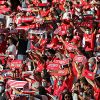 Benfica conquistou Eusébio Cup ante o Newcastle no Estádio da Luz a transbordar de alegria