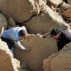 Dois novos fósseis encontrados na costa sudoeste de Portugal