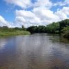 Recuperação da biodiversidade dos rios europeus estagnou na década de 2010