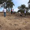 Campanha de escavação arqueológica no Concelho de Mora