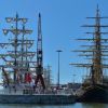 Grandes Veleiros estão em Lisboa – The Tall Ship Races Magellan-Elcano 2023