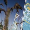 Festival O Sol da Caparica apresentada a 9.ª edição