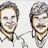 Prémio Nobel da Fisiologia ou Medicina 2024