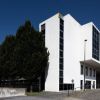 Estudo da Universidade do Minho abre caminho para a redução de infeções intestinais